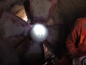 photo-10